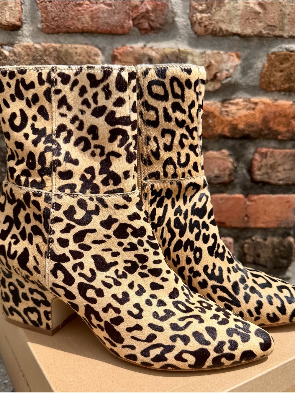 Coconuts by Matisse “Harlan” Leopard Print Ankle Boots in Tan and Black